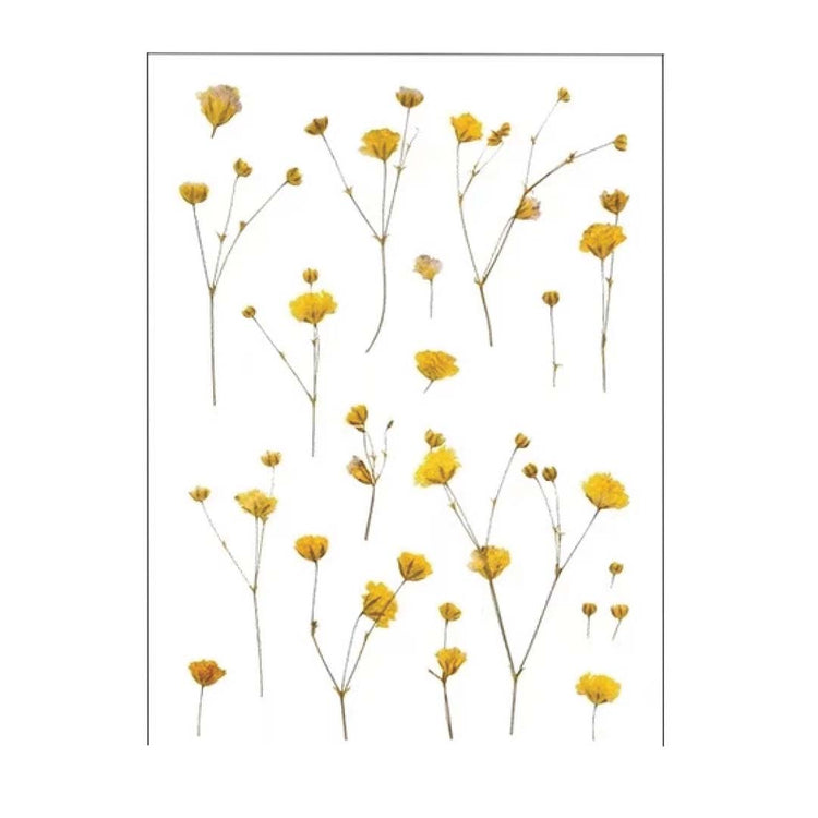 Image shows a yellow flower sticker set